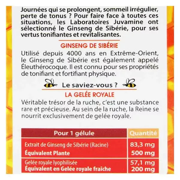 Fortifiant Ginseng de Sibérie/Gelée Royale - Juvamine