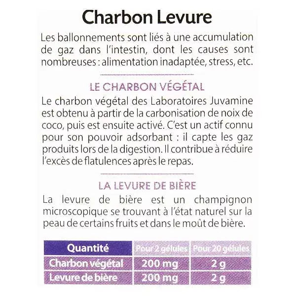 Gaz intestinaux Charbon/Levure - Juvamine