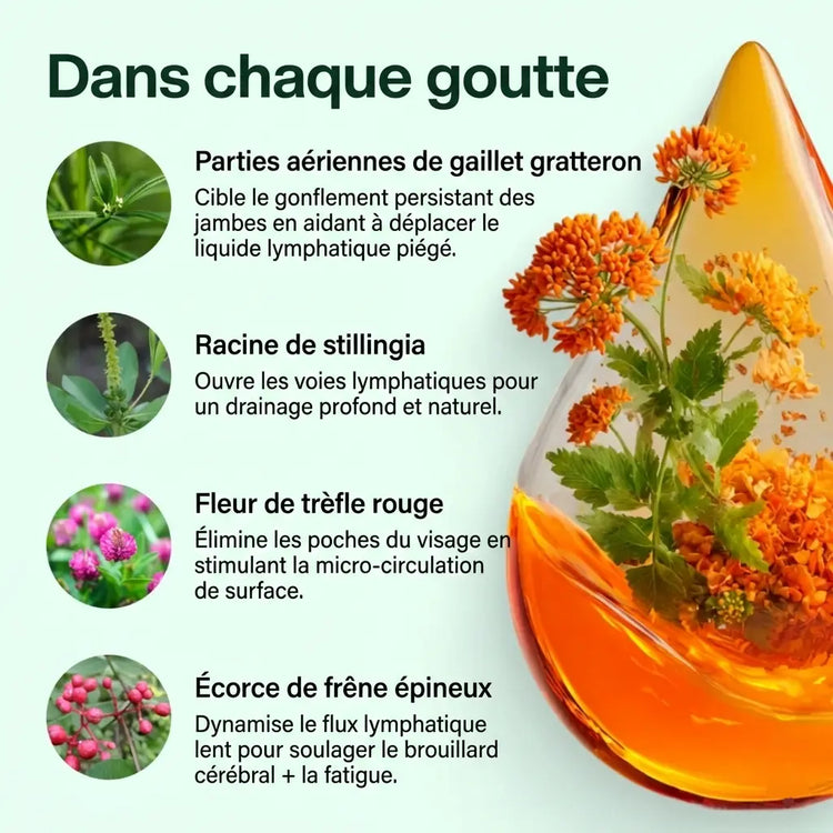 Ingredientes limpios