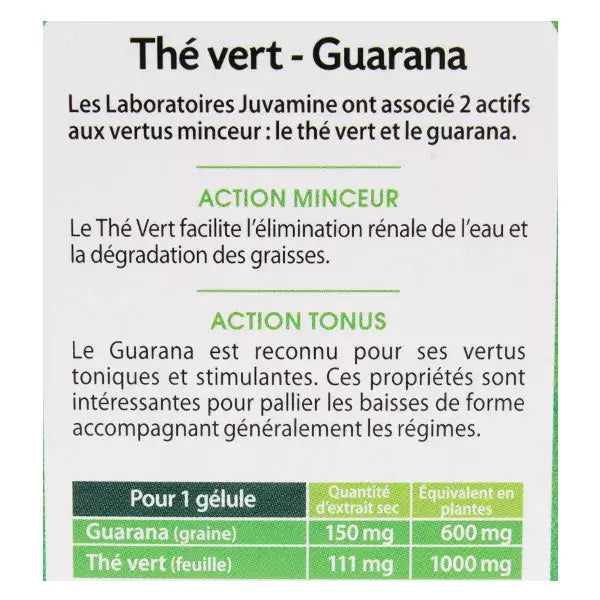 Thé vert Guarana - Juvamine